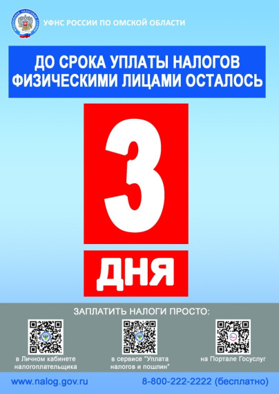 Срок уплаты налогов физическими лицами.